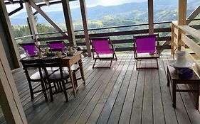 Lavender Valley