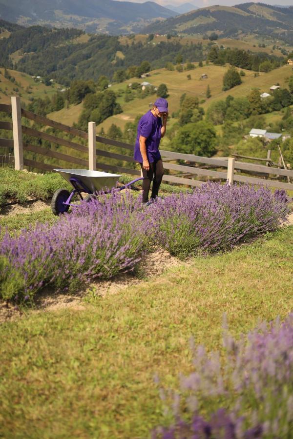 Lavender Valley Perekrestnoye Экстерьер фото