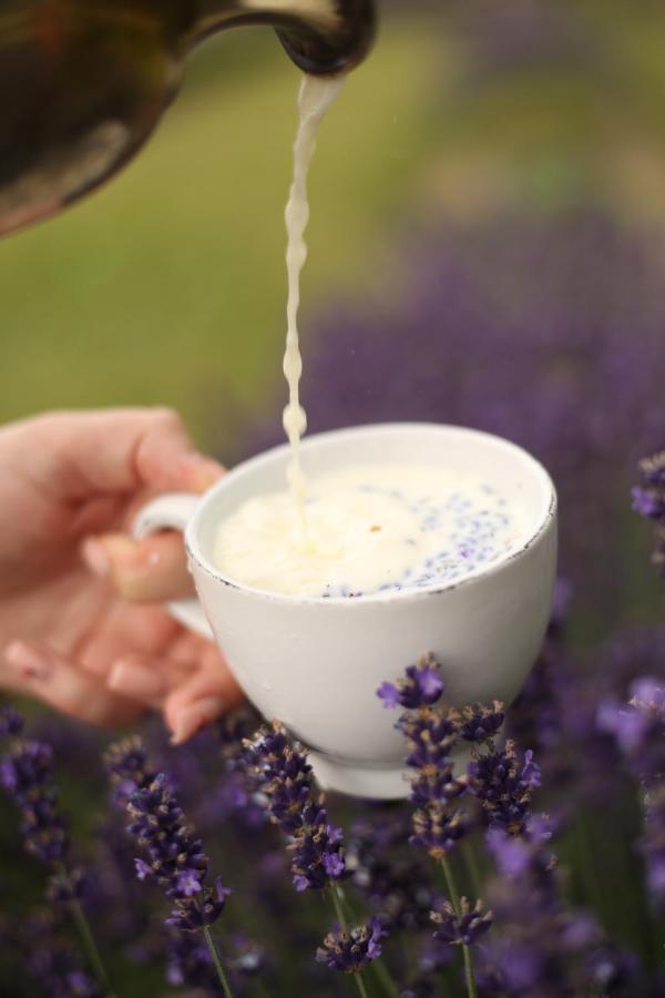 Lavender Valley Perekrestnoye Экстерьер фото